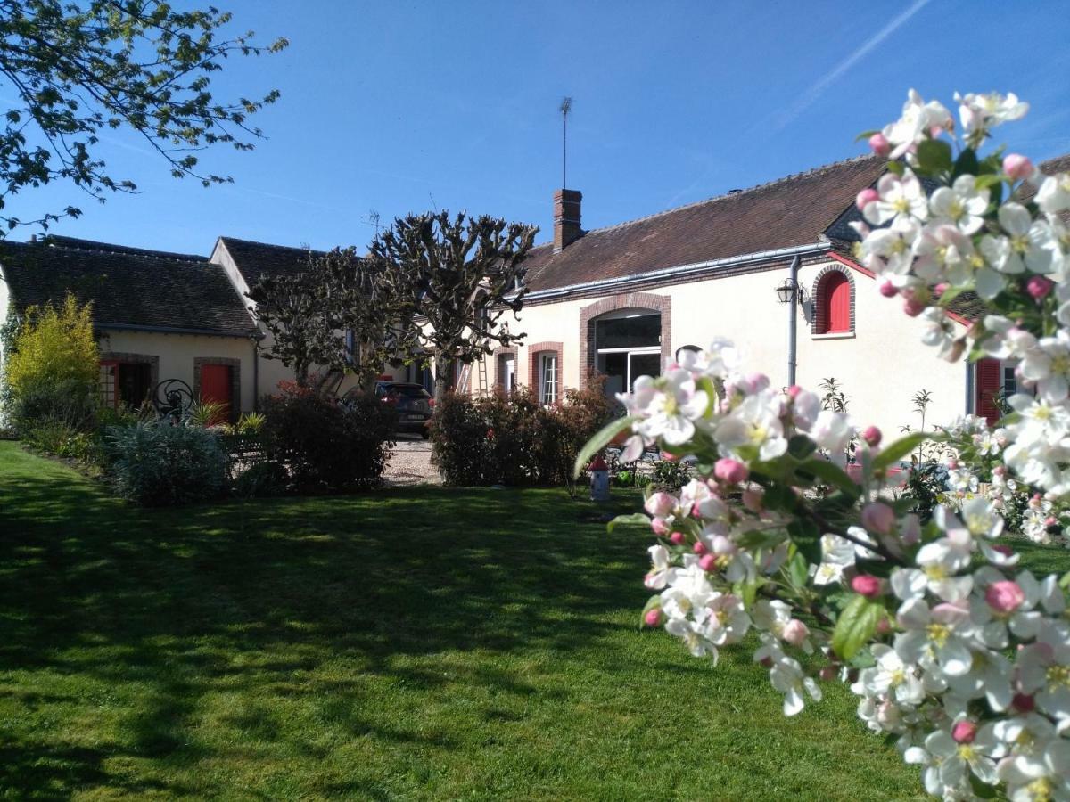 La Cite Des Abeilles Lejlighed Villemandeur Eksteriør billede